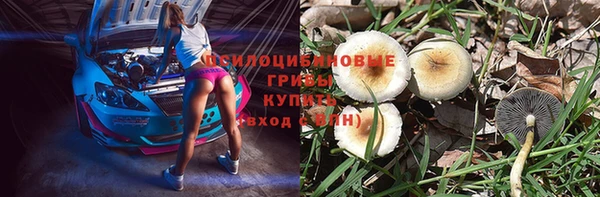 PSILOCYBIN Аркадак
