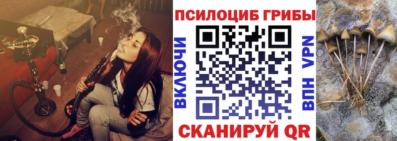 mega ССЫЛКА  Калач-на-Дону  Галлюциногенные грибы MAGIC MUSHROOMS 